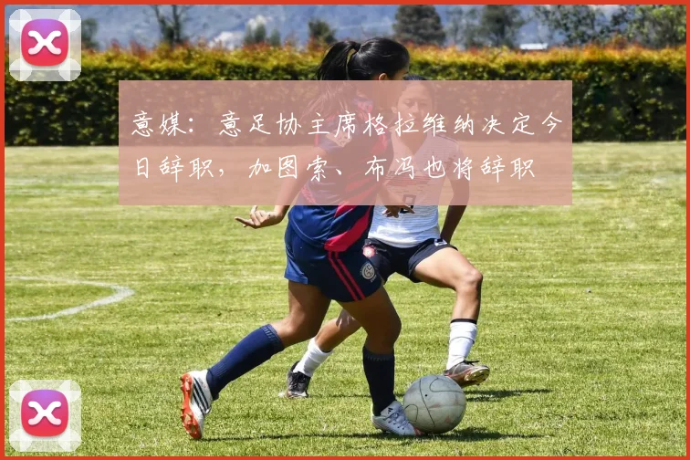 意媒：意足协主席格拉维纳决定今日辞职，加图索、布冯也将辞职