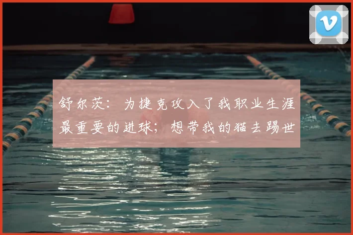 舒尔茨：为捷克攻入了我职业生涯最重要的进球；想带我的猫去踢世界杯