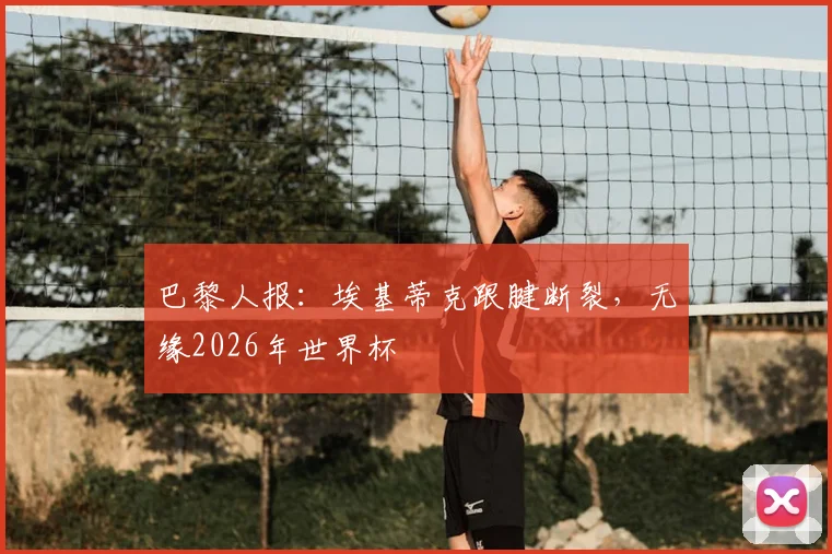 巴黎人报：埃基蒂克跟腱断裂，无缘2026年世界杯