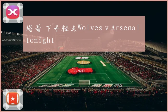 塔哥 下手轻点Wolves v Arsenal tonight