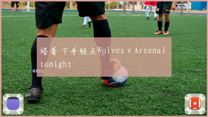 塔哥 下手轻点Wolves v Arsenal tonight